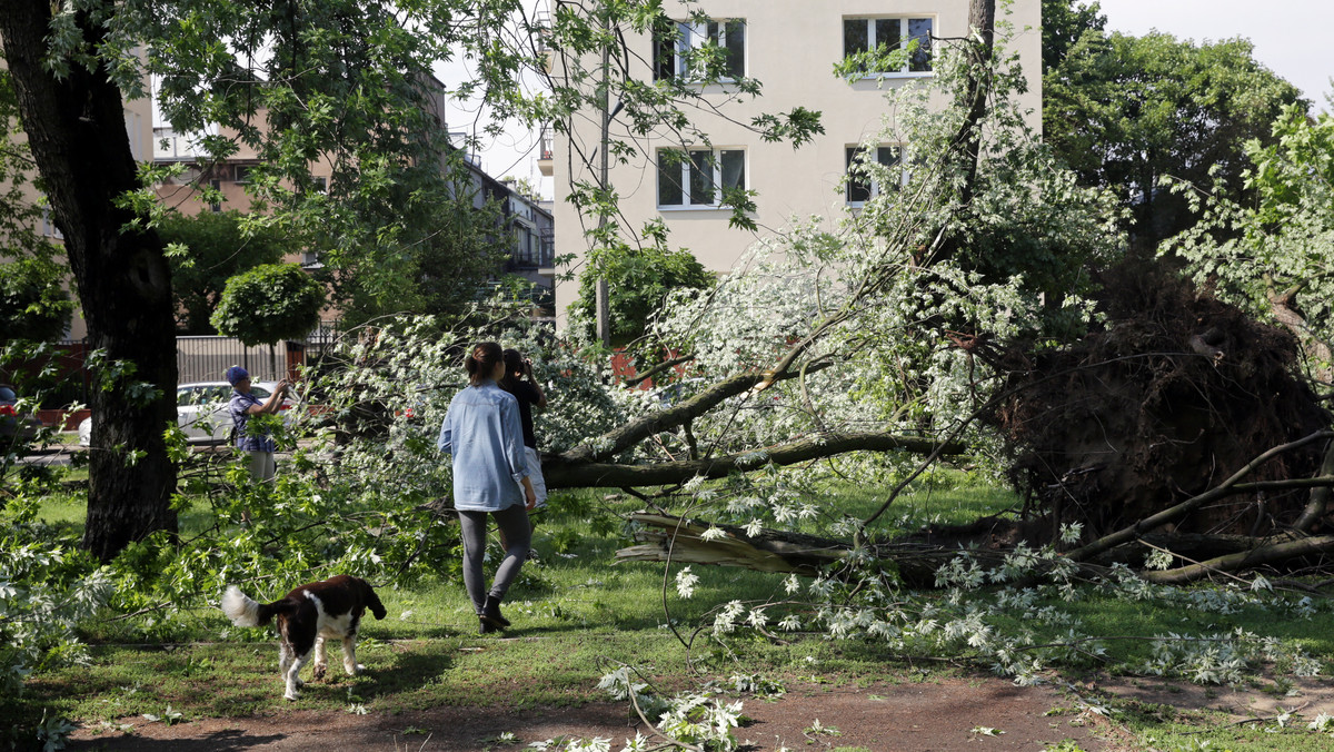 Strażacy w całym kraju cały czas usuwają skutki burz i intensywnych opadów deszczu. W piątek do godz. 19 interweniowali 2450 razy - poinformował rzecznik komendanta głównego Państwowej Straży Pożarnej Paweł Frątczak.