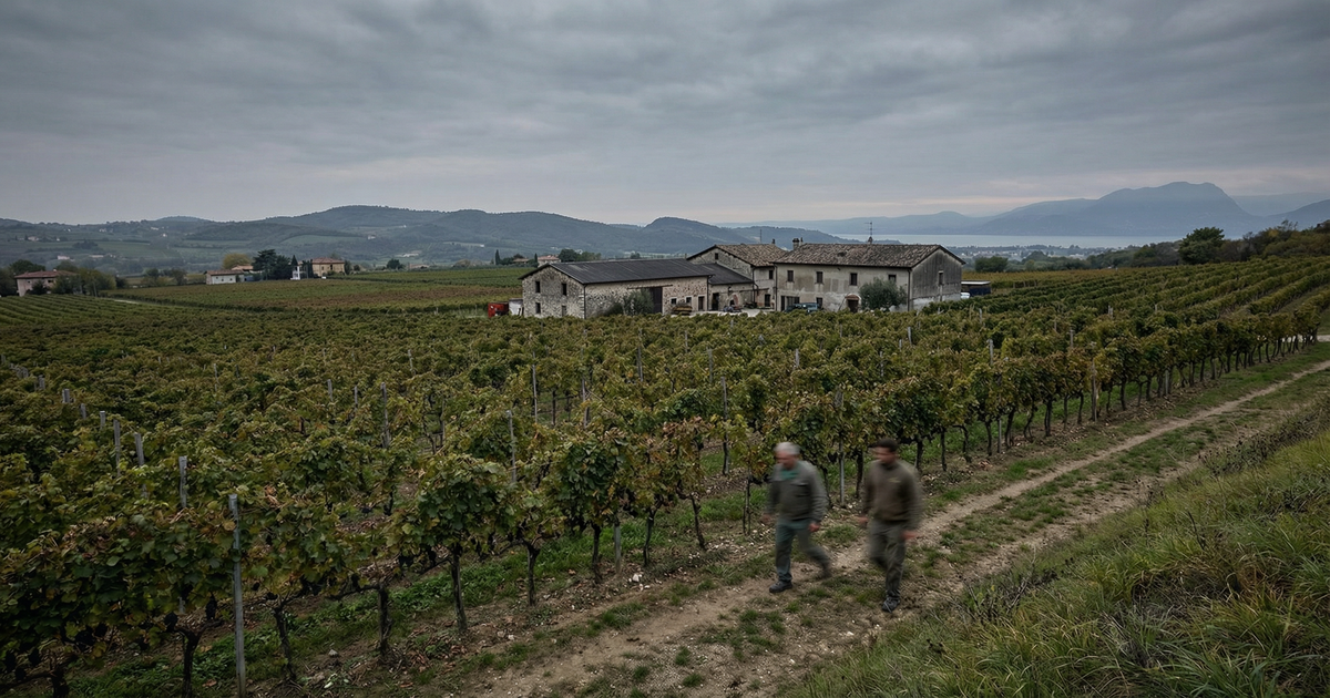 'Ndrangheta sul Garda: tre aziende e 30 milioni sotto amministrazione