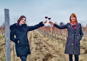 Mina je završila ekonomiju u Beču, dok je Sara prvo studirala prehrambenu tehnologiju u Novom Sadu, a zatim se opredelila za smer o proizvodnji vina