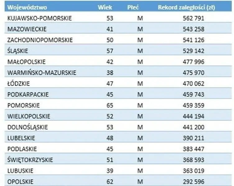 Rekordziści nie płacący alimentów w Polsce Fot. BIG Infominitor