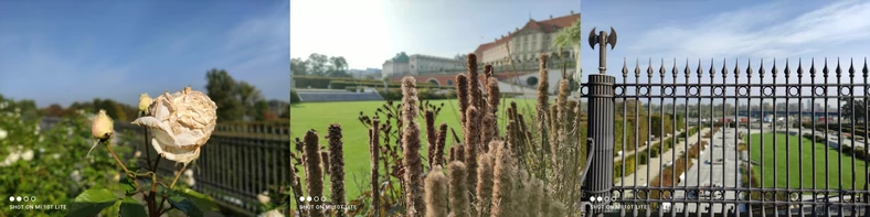 Przykładowe zdjęcia z dodanym programowo, wirtualnym efektem bokeh (kliknij, aby powiększyć)