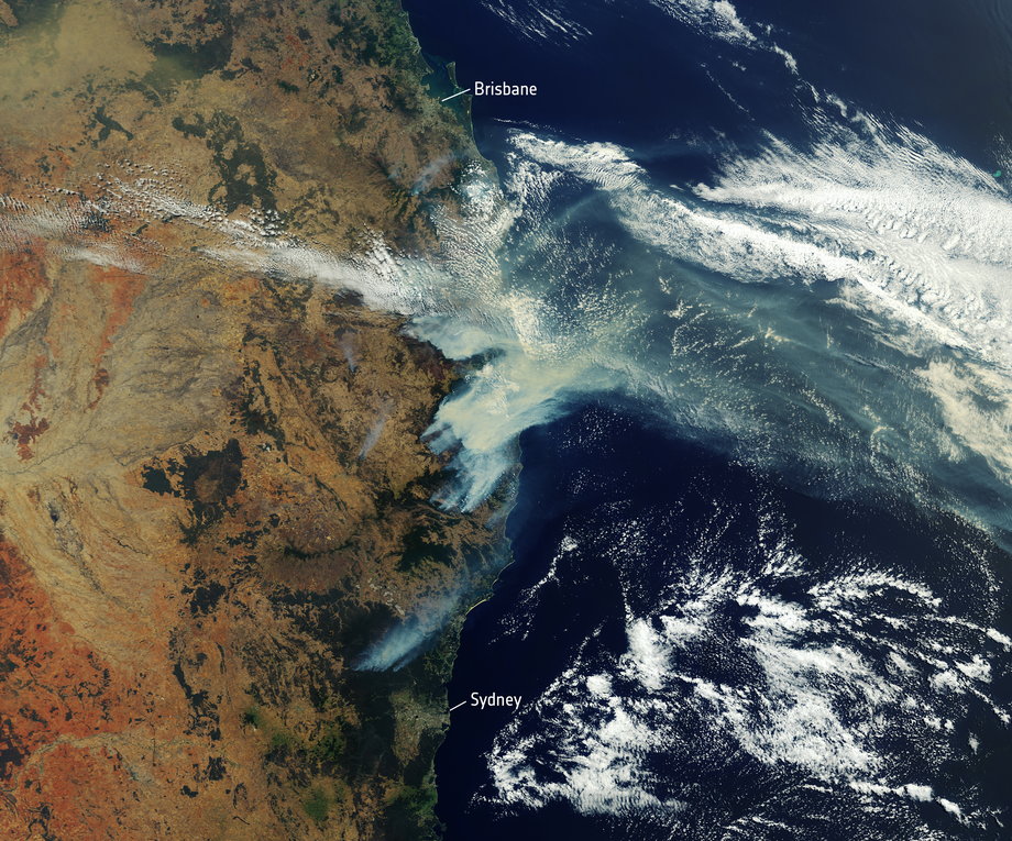 Obraz zarejestrowany przez europejskie satelity z konstelacji SENTINEL-3, pokazujący dym unoszący się z pożarów w pobliżu wschodniego wybrzeża Australii. 12 listopada 2019 r. 