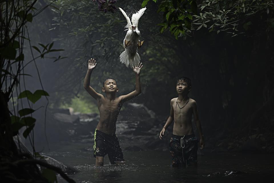 Wyróżnienie - Catching a Duck (pol. Złapać kaczkę), Sarah Wouters