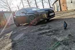 Lexus UX 200 F Sport – preludium do hybrydy | TEST