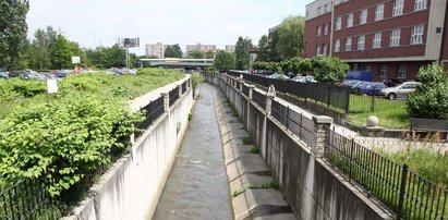 Oto bulwary prezydenta Uszoka