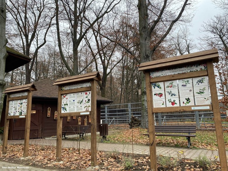 Ścieżka przyrodniczo-edukacyjna „Tajemnice Pszczyńskiej Puszczy” w Pokazowej Zagrodzie Żubrów w Pszczynie - 02.12.2022 - autor: Michał Makowski