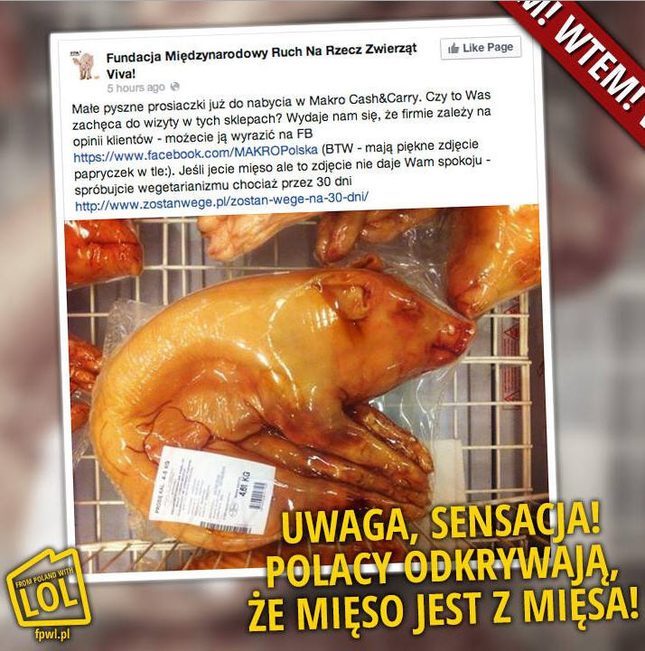 Afera ws. prosiaków w Makro