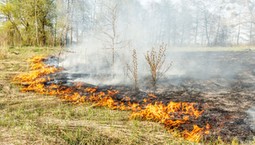 Już nie 5 tys. zł, a 30 tys. zł kary. Chwila nieuwagi może słono kosztować