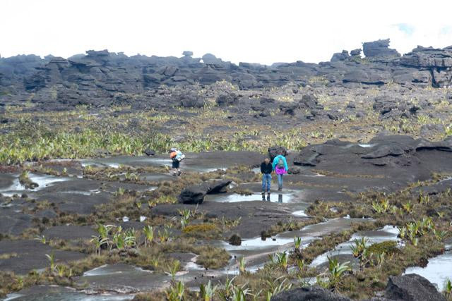 Galeria Wenezuela - Gran Sabana i Roraima, obrazek 4