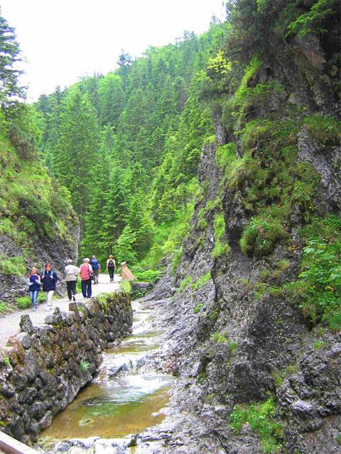 Galeria Polska - Tatry, Dolina Białego, obrazek 3