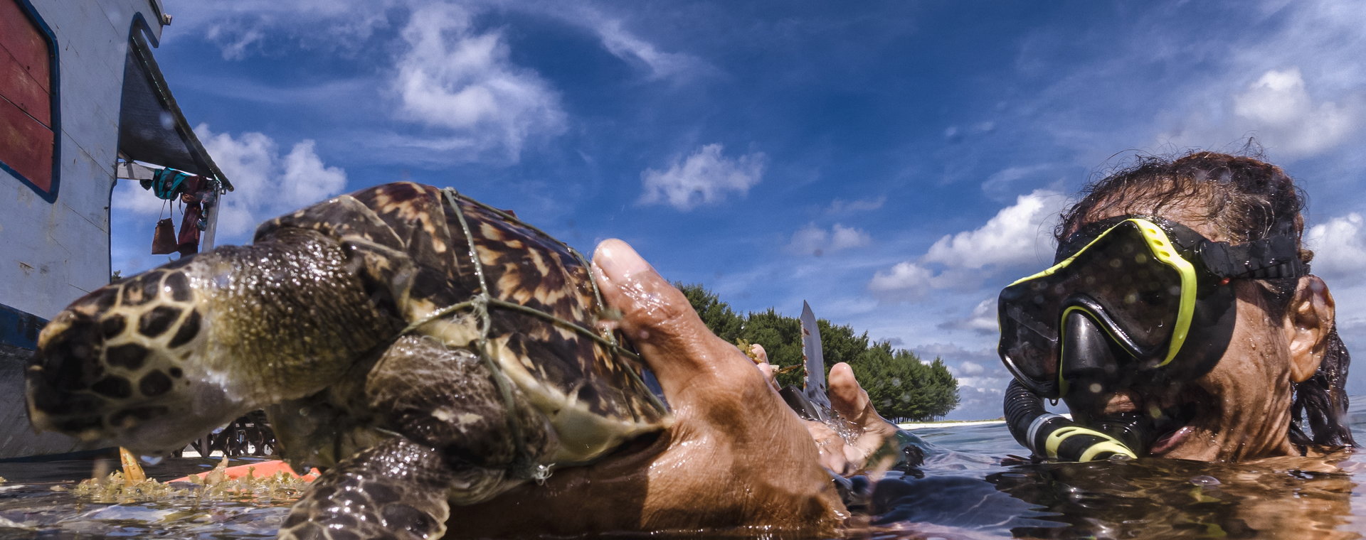 Wolontariusz ratuje żółwia szylkretowego (Eretmochelys imbricata), który zaplątał się w pozostawioną w oceanie sieć rybacka. Wyspy Karimunjawa 12 czerwca 2022 r., Indonezja. 