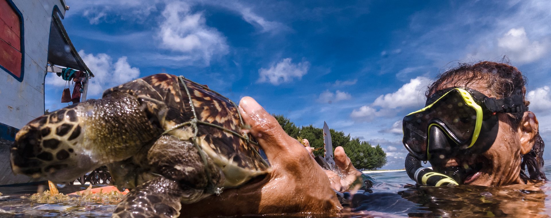 Wolontariusz ratuje żółwia szylkretowego (Eretmochelys imbricata), który zaplątał się w pozostawioną w oceanie sieć rybacka. Wyspy Karimunjawa 12 czerwca 2022 r., Indonezja. 