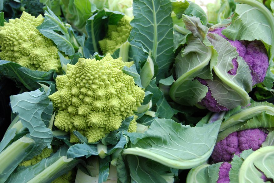 Kalafior romanesco - maljalen/stock.adobe.com