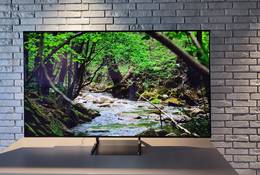 Jaki telewizor 55" kupić na początku 2021?