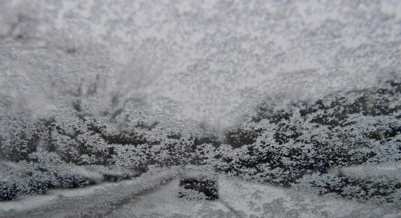 View of a park shot through a windshield covered in snow, in Berlin on January 7, 2017