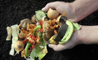 Gminy planują obecnie, jak uwzględnić ulgę za kompostowanie