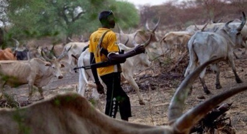 Fulani herdsman