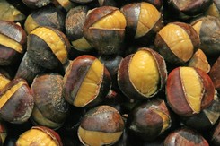 Kasztany i właściwości lecznicze. Zobacz, na co pomagają