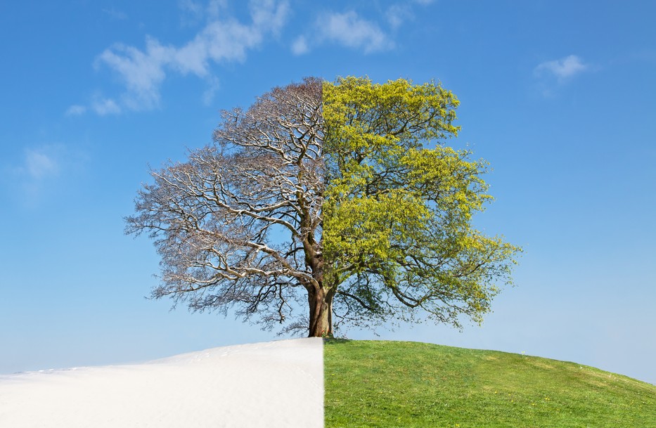 fotó: Shutterstock