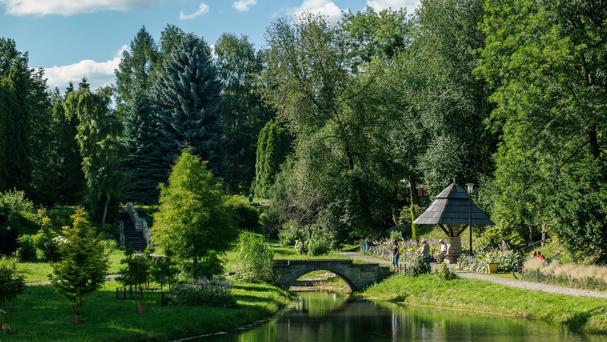 Czy Park Śląski w Chorzowie wciąż można określać mianem parku? Takie pytanie postawili eksperci Szkoły Głównej Gospodarstwa Wiejskiego w Warszawie. Naukowcy ponad 60 lat temu sporządzili pierwotny plan zagospodarowania Wojewódzkiego Parku Kultury i Wypoczynku (dzisiejszy Park Śląski - przyp.red.).