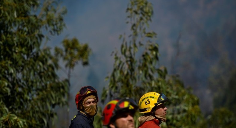 Fires on Portugal's tourist island of Madeira in August killed three people, while over the course of 2016 around 40 homes were destroyed and 5,400 hectares of land burned