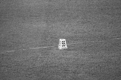 Nie żyje dwukrotna medalistka olimpijska w rzucie oszczepem Dana Zatopkova