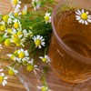 Apigenin u čaju od kamilice može uticati na receptore u mozgu povezane sa opuštanjem 