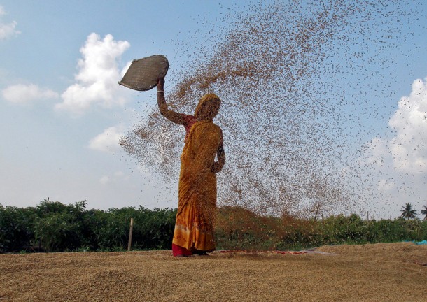 INDIA-AGRICULTURE/