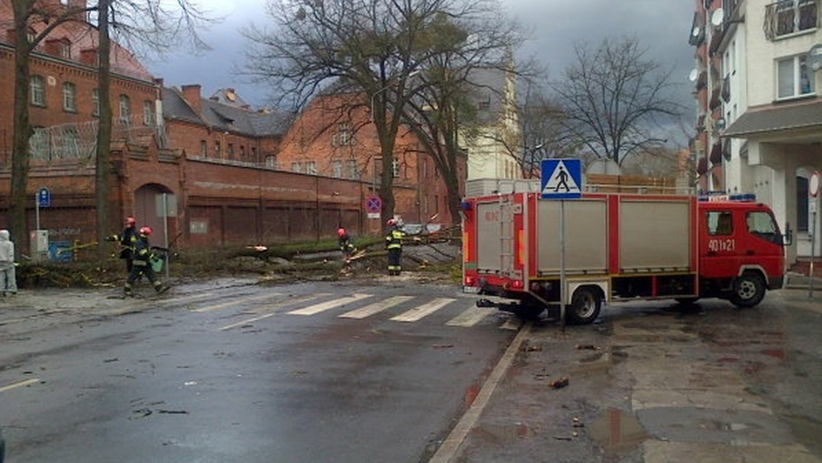 Strażacy w całym powiecie usuwają skutki popołudniowych porywistych wiatrów. Połamane są drzewa i gałęzie. Uszkodzony został dach brzeskiego ratusza, ale największe straty odnotowano w Muzeum Piastów Śląskich - informuje Radio Opole.