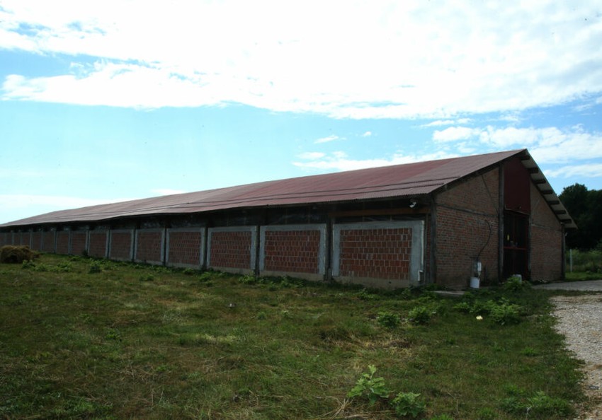 Azil za pse na Manjači