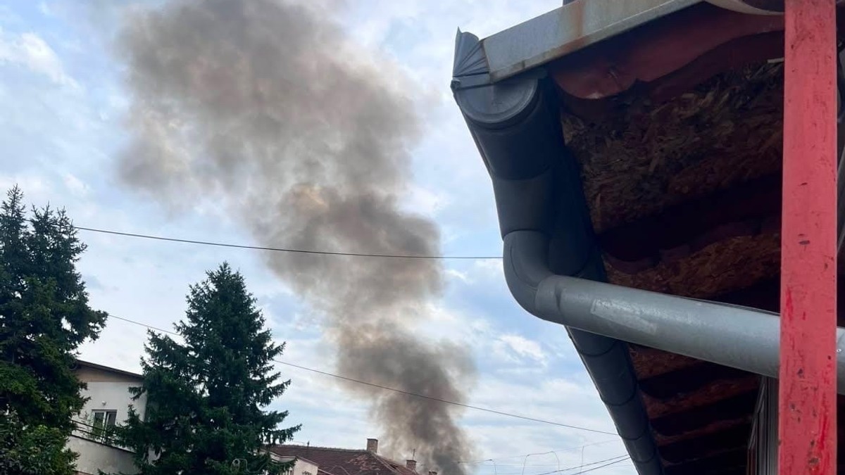 Požar,Žabari