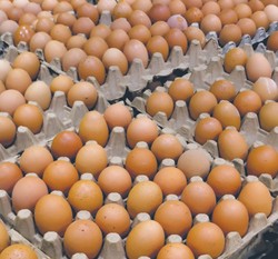 Czy zabraknie jaj na Wielkanoc? Minister rolnictwa zabrał głos