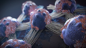 A melanomás betegeknek nyújt esélyt az új módszer