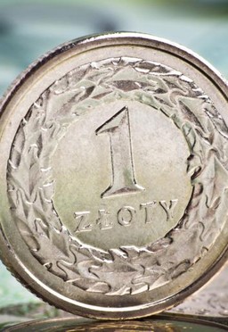 RPO: Fatalna jakość prawa podatkowego narusza konstytucję