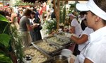 Festiwal Pierogów w Krakowie!