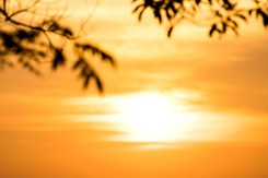 Rekordowe temperatury z 2022 r. staną się normą. RAPORT Met Office