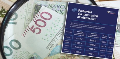 Tyle zarobi poseł, a tyle profesor. Ekonomista pokazał 