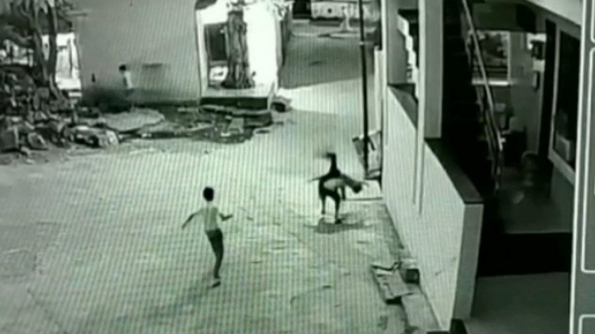 Indie: 11-latek spadł z dachu. Cudem przeżył. Jest nagranie
