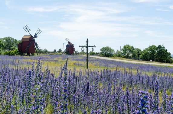 Olandia - szwedzki raj na Bałtyku