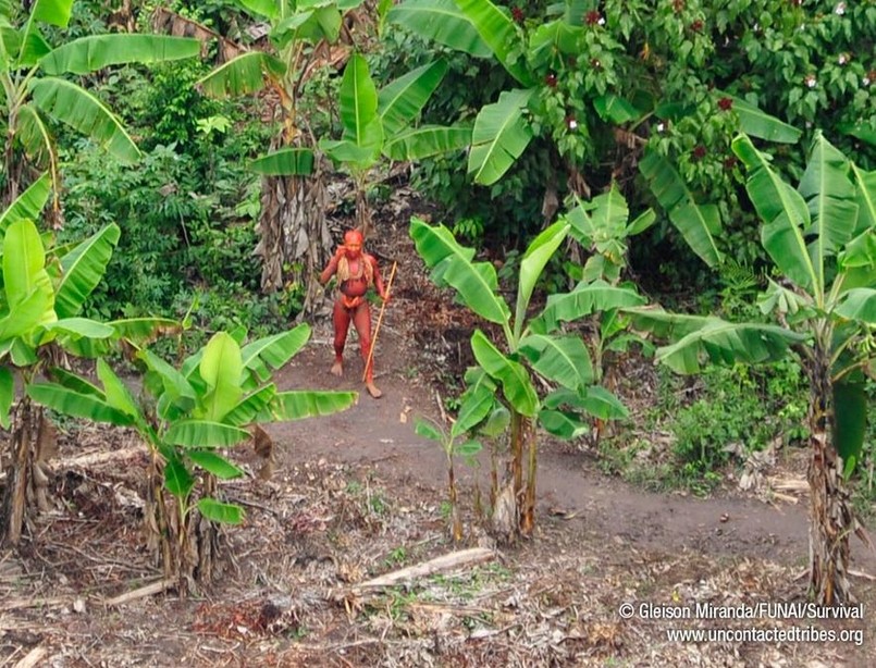 Sensacyjne zdjęcia! Oto plemię, które nie zna nic oprócz puszczy