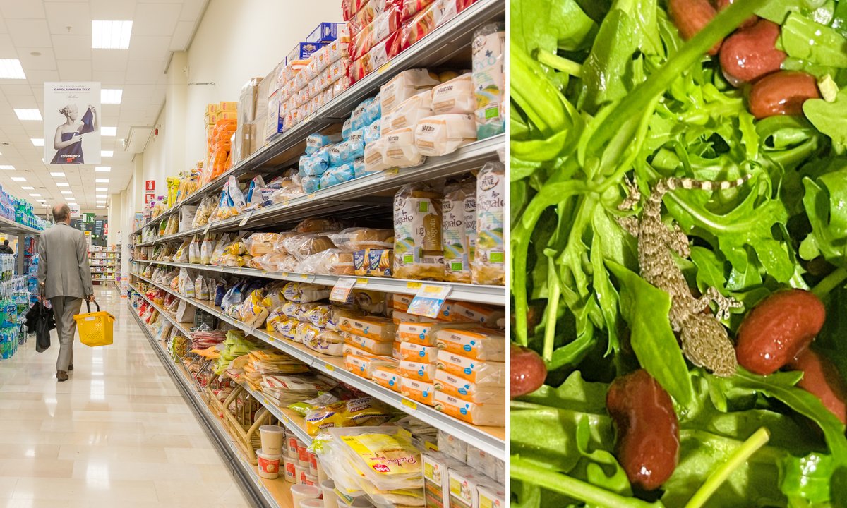 Gekon w rukoli z Lidla. Niezwykłe odkrycie mieszkanki okolic Lublina