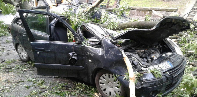 Tragiczne skutki nawałnicy. Drzewo przygniotło kobietę w samochodzie