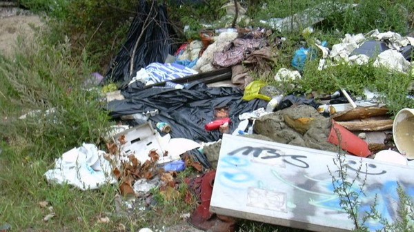 Od stycznia do końca sierpnia tego roku usunięto w Krakowie 644 dzikie wysypiska, co kosztowało miasto ponad 270 tys. zł.