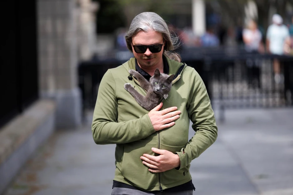 mačka Sofi iz Bele kuće