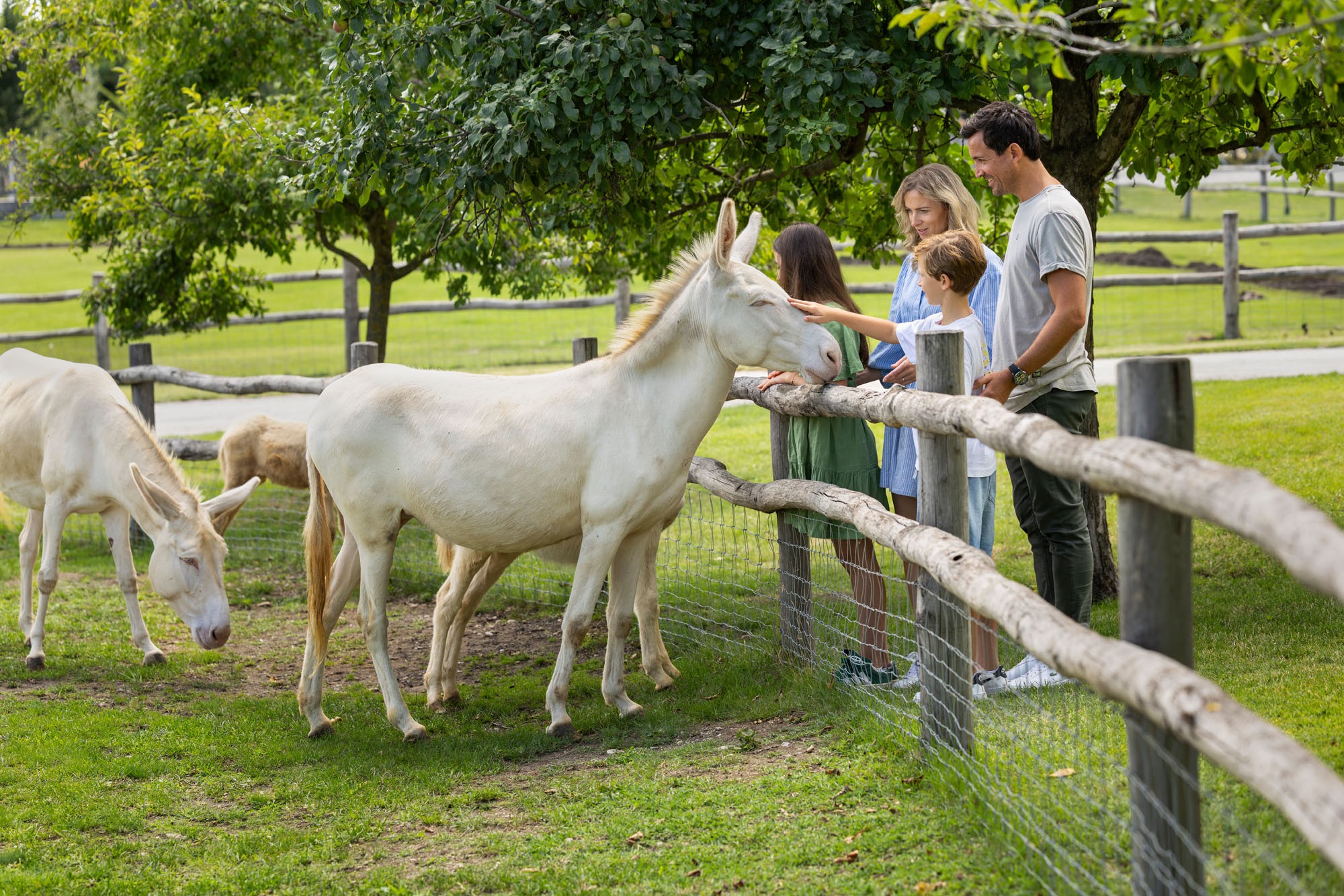 Máj na zámku Schloss Hof