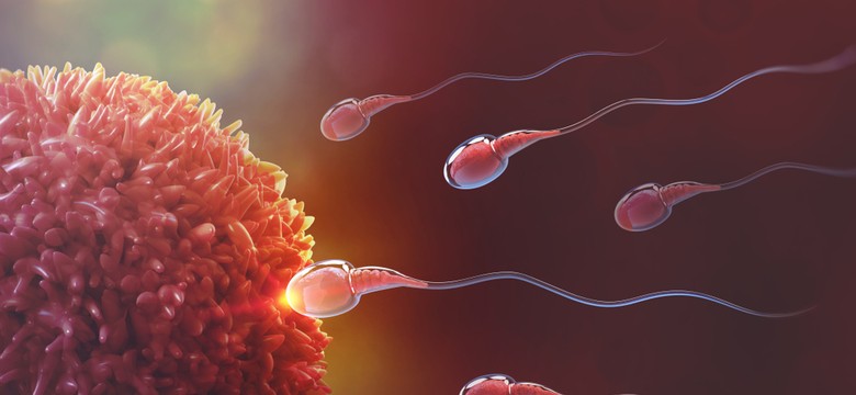 Kilka niesamowitych faktów na temat zapłodnienia. To warto wiedzieć!