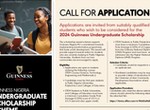 Call for Applications: Guinness Nigeria undergraduate scholarship scheme