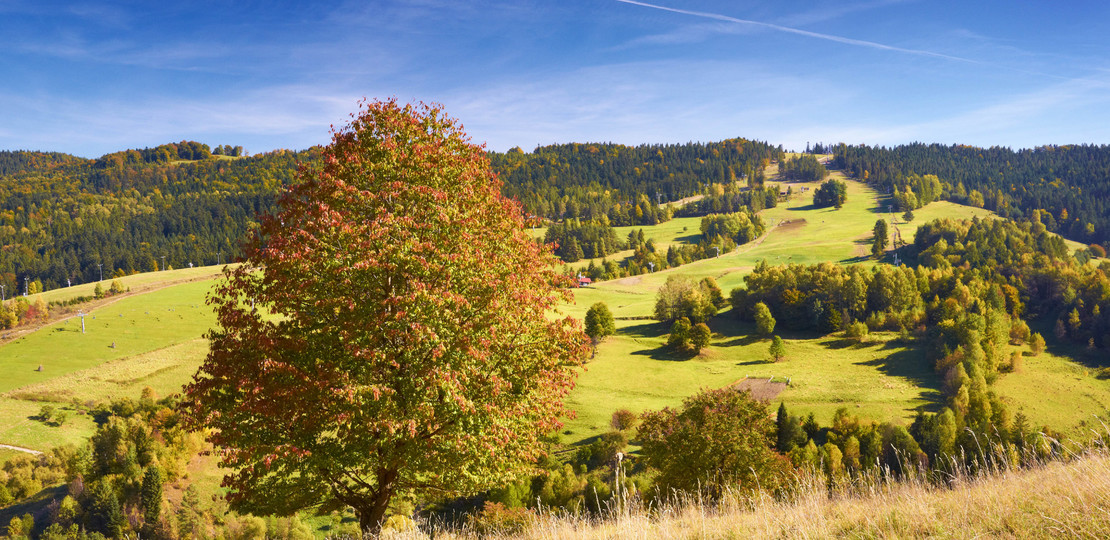 Beskid Sądecki, Wierchomla