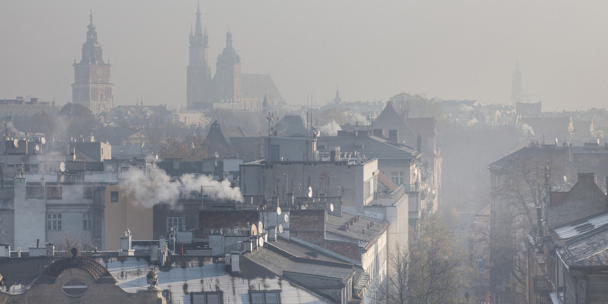 Jedną z głównych przyczyn zanieczyszczeń powietrza w Polsce jest tzw. niska emisja, czyli spalanie kiepskiej jakości węgla i odpadów