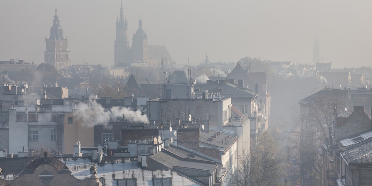 Jedną z głównych przyczyn zanieczyszczeń powietrza w Polsce jest tzw. niska emisja, czyli spalanie kiepskiej jakości węgla i odpadów